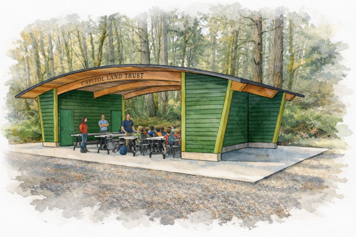 Pavilion Rendering