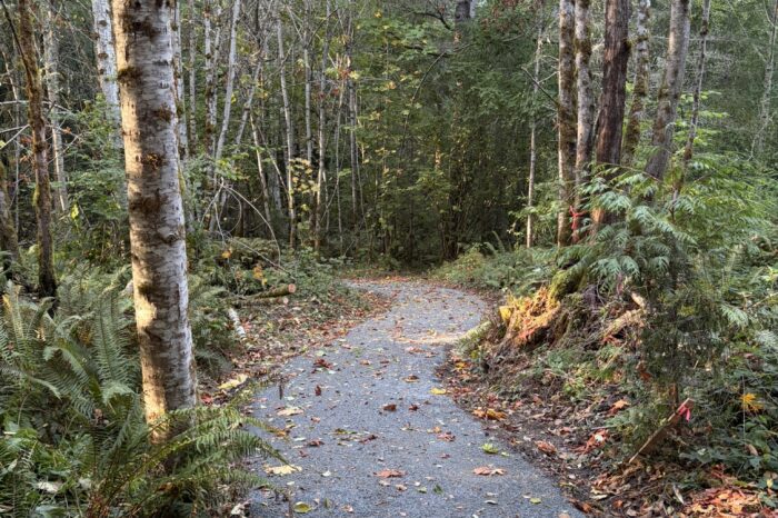 Accessible Trail