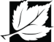 RWD_Leaf_Black_99x81