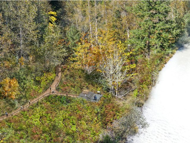 Nisqually State Park Preliminary Rendering River Overlook